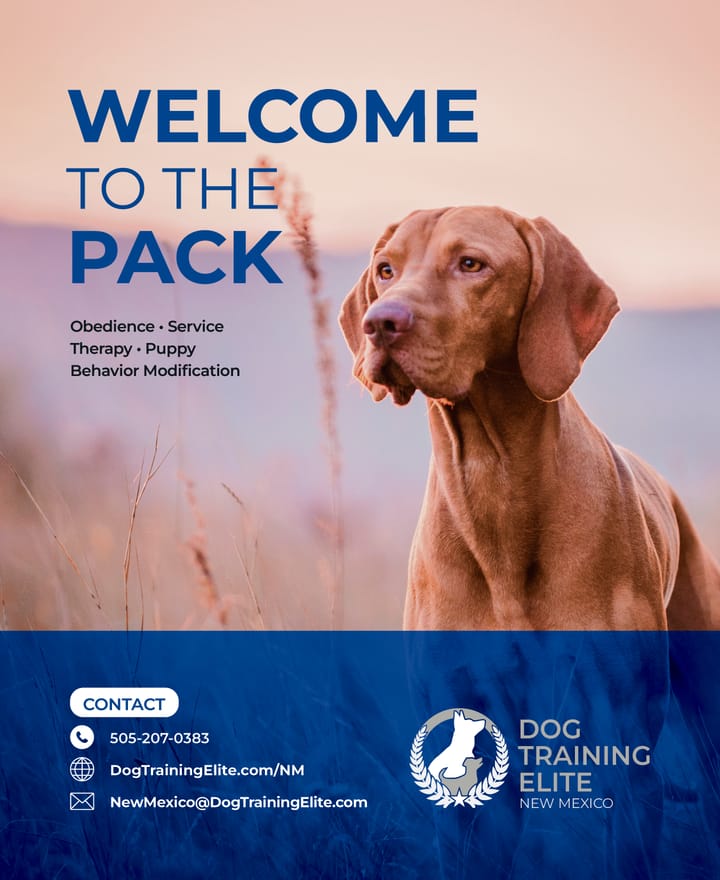 Dog Training Elite